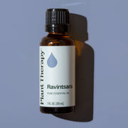Plant Therapy Ravintsara Essential Oil Essential Oil