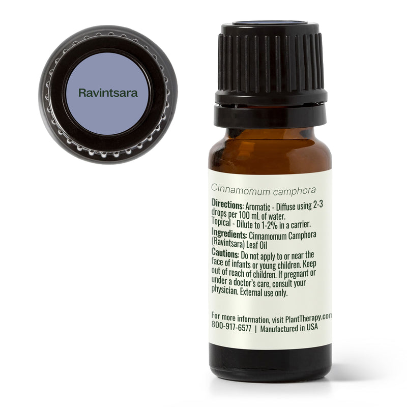 Plant Therapy Ravintsara Essential Oil Essential Oil White Smoke 10 mL,30 mL