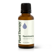 Plant Therapy Ravintsara Essential Oil Essential Oil