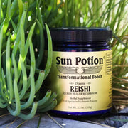Sun Potion Reishi Mushroom Powder (Organic) Adaptogen