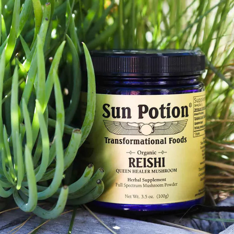 Sun Potion Reishi Mushroom Powder (Organic) Adaptogen