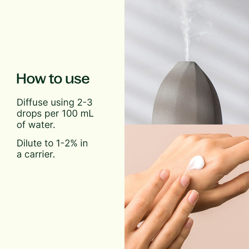 Plant Therapy Rhododendron Essential Oil Essential Oil