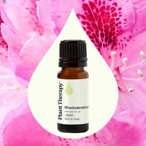 Plant Therapy Rhododendron Essential Oil Essential Oil