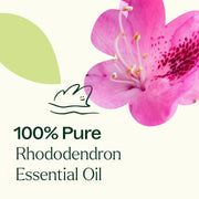 Plant Therapy Rhododendron Essential Oil Essential Oil