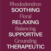 Plant Therapy Rhododendron Essential Oil Essential Oil