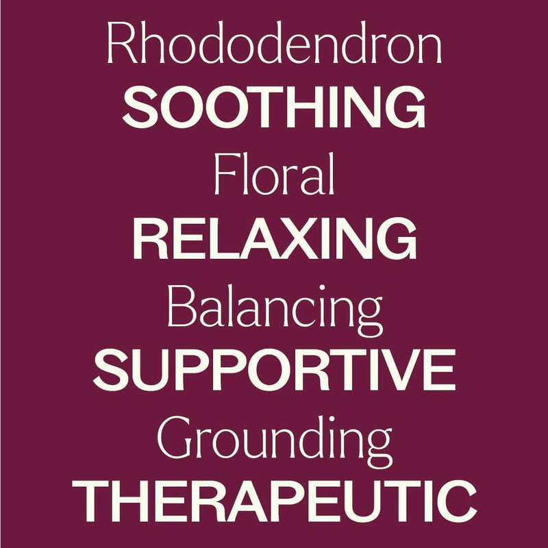 Plant Therapy Rhododendron Essential Oil Essential Oil