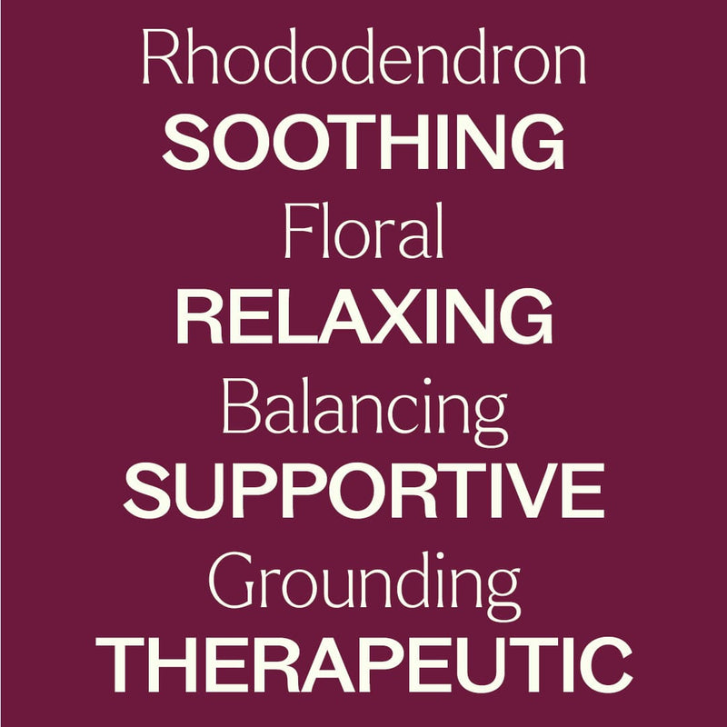 Plant Therapy Rhododendron Essential Oil Essential Oil