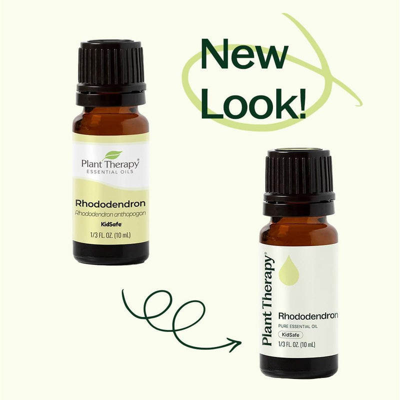Plant Therapy Rhododendron Essential Oil Essential Oil