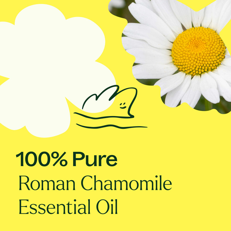 Plant Therapy Roman Chamomile Essential Oil Essential Oil Light Goldenrod 5 mL,10 mL,30 mL