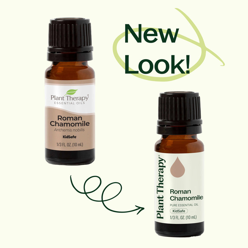 Plant Therapy Roman Chamomile Essential Oil Essential Oil