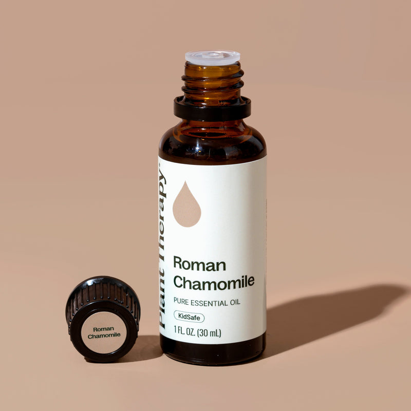 Plant Therapy Roman Chamomile Essential Oil Essential Oil Tan 5 mL,10 mL,30 mL