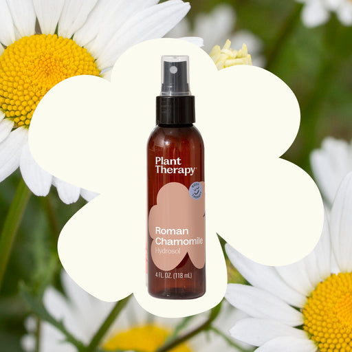 Plant Therapy Roman Chamomile Hydrosol Body Care