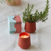 Modern Sprout Rooted Candles Candle Gray Rosemary & Cucumber 1pk,Thyme & Tonka Bean 1pk,Lavender & Cedarwood 1pk,Basil & Jasmine 1pk,Mixed 3pk