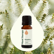 Plant Therapy Rosalina Essential Oil Essential Oil
