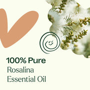 Plant Therapy Rosalina Essential Oil Essential Oil