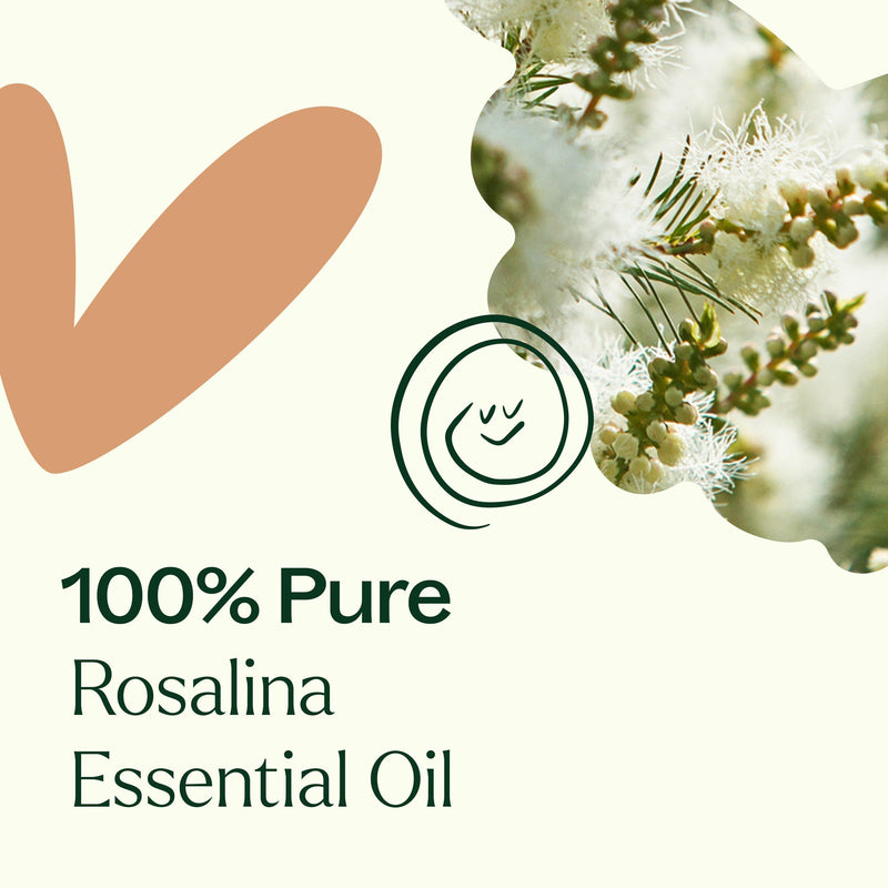 Plant Therapy Rosalina Essential Oil Essential Oil