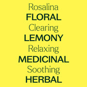 Plant Therapy Rosalina Essential Oil Essential Oil
