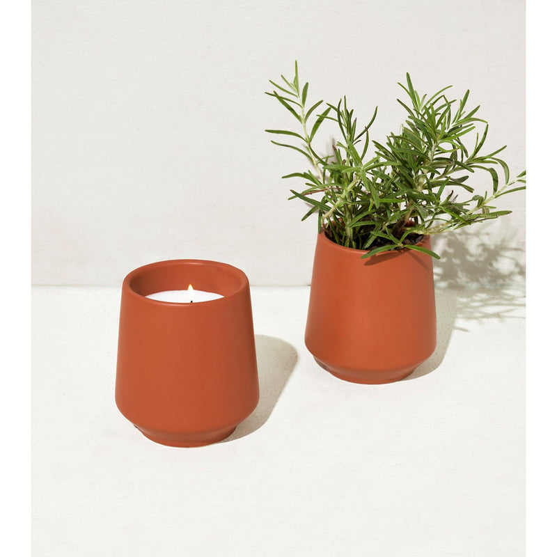 Modern Sprout Rooted Candles Candle Beige Rosemary & Cucumber 1pk