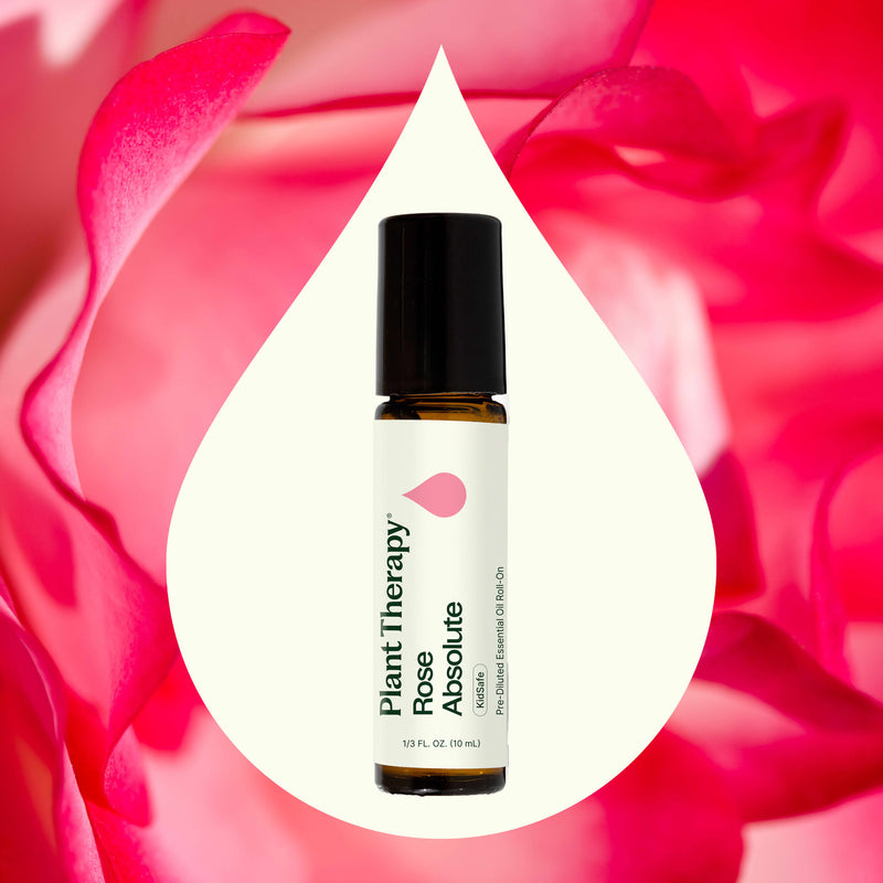 Plant Therapy Rose Absolute Pre-Diluted Roll-On Essential Oil Seashell 10 mL