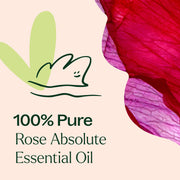Plant Therapy Rose Absolute Essential Oil Essential Oil
