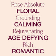 Plant Therapy Rose Absolute Pre-Diluted Roll-On Essential Oil Antique White 10 mL