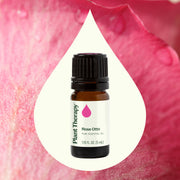 Plant Therapy Rose Otto Essential Oil Essential Oil