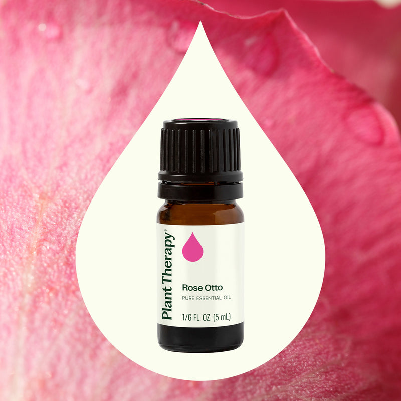 Plant Therapy Rose Otto Essential Oil Essential Oil