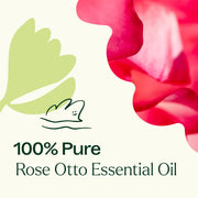 Plant Therapy Rose Otto Essential Oil Essential Oil