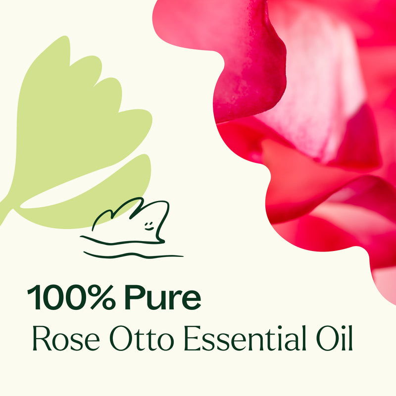 Plant Therapy Rose Otto Essential Oil Essential Oil