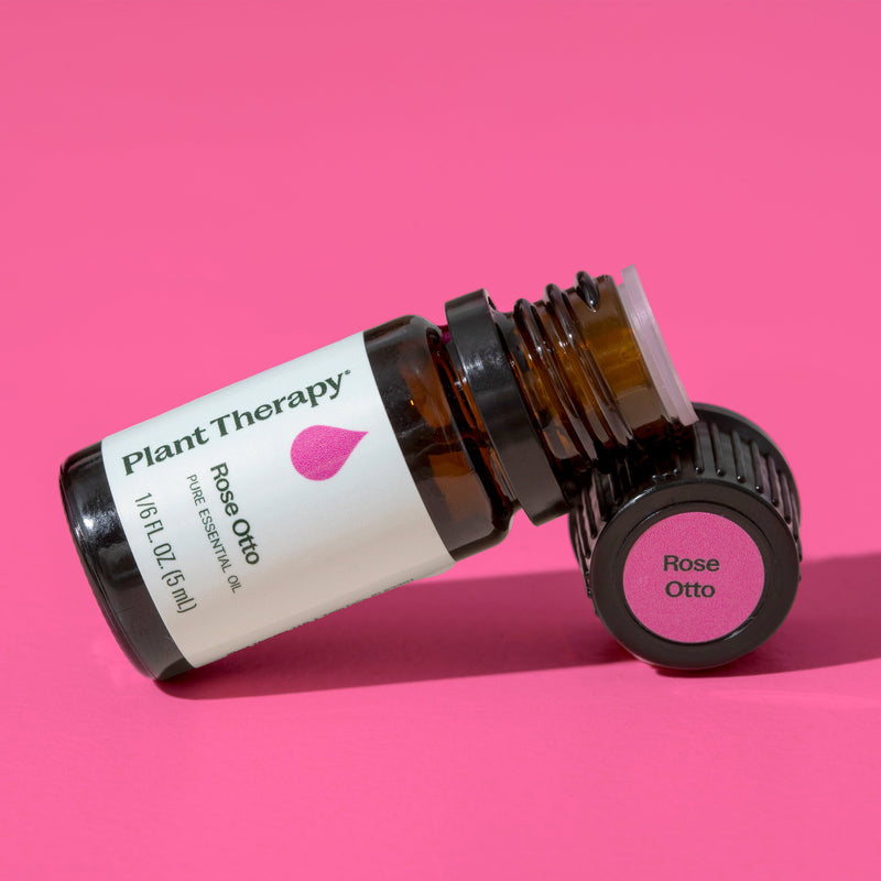 Plant Therapy Rose Otto Essential Oil Essential Oil