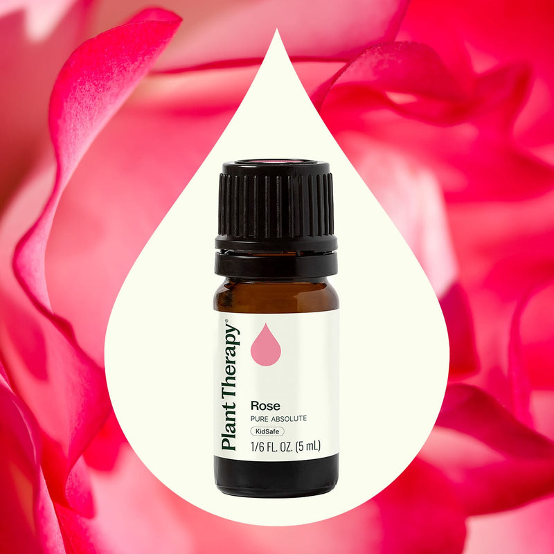 Rose Pure Absolute Essential Oil