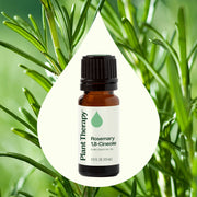 Plant Therapy Rosemary 1,8-Cineole Essential Oil Essential Oil