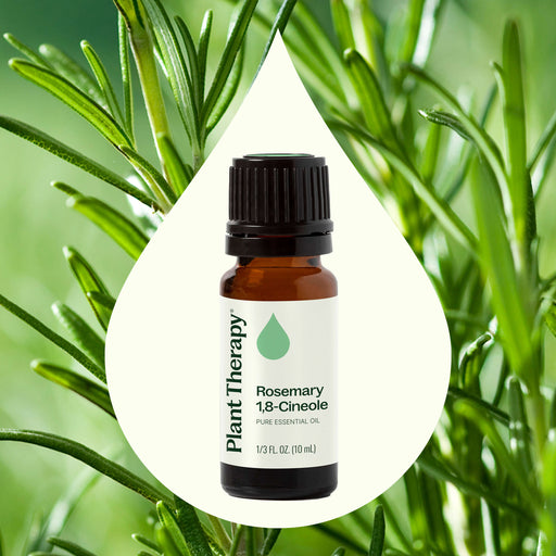 Plant Therapy Rosemary 1,8-Cineole Essential Oil Essential Oil