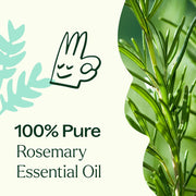 Plant Therapy Rosemary 1,8-Cineole Essential Oil Essential Oil