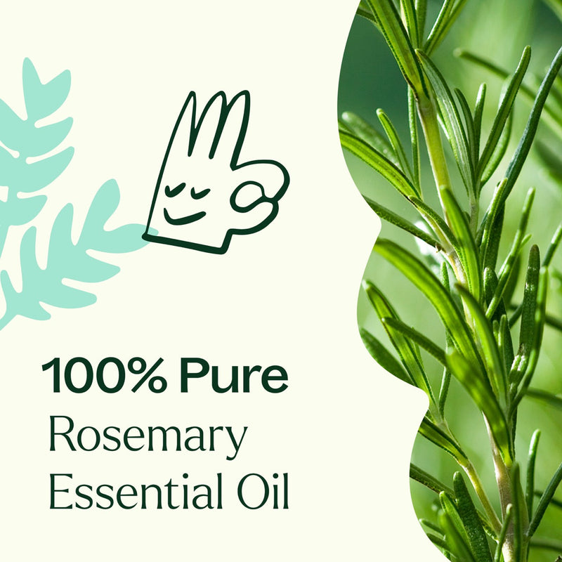 Plant Therapy Rosemary 1,8-Cineole Essential Oil Essential Oil