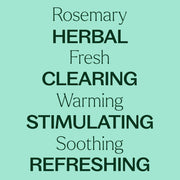 Plant Therapy Rosemary 1,8-Cineole Essential Oil Essential Oil