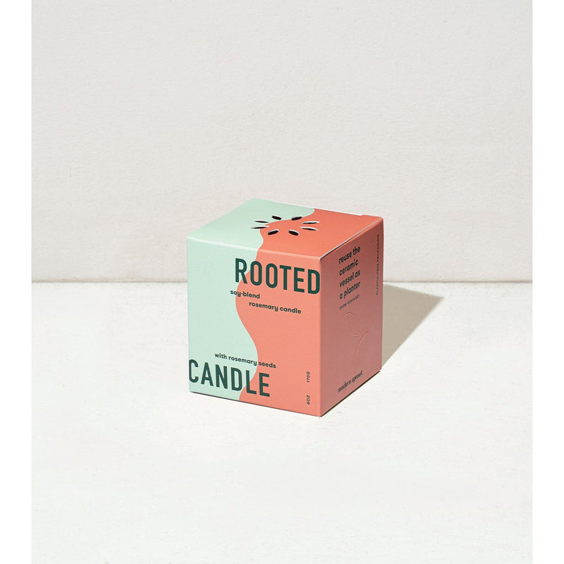 Modern Sprout Rooted Candles Candle Antique White Rosemary & Cucumber 1pk,Thyme & Tonka Bean 1pk,Lavender & Cedarwood 1pk,Basil & Jasmine 1pk,Mixed 3pk