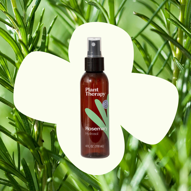 Plant Therapy Rosemary Hydrosol Body Care