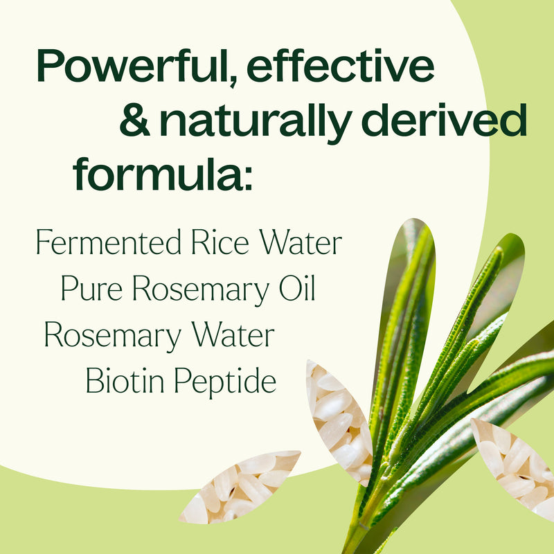 Plant Therapy Rosemary & Rice Water Daily Hair Growth Spray Hair & Skin Care