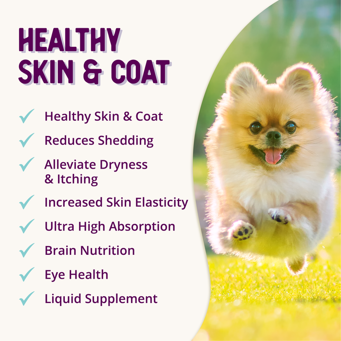 HEALTHY SKIN Vibrant Coat Supplement