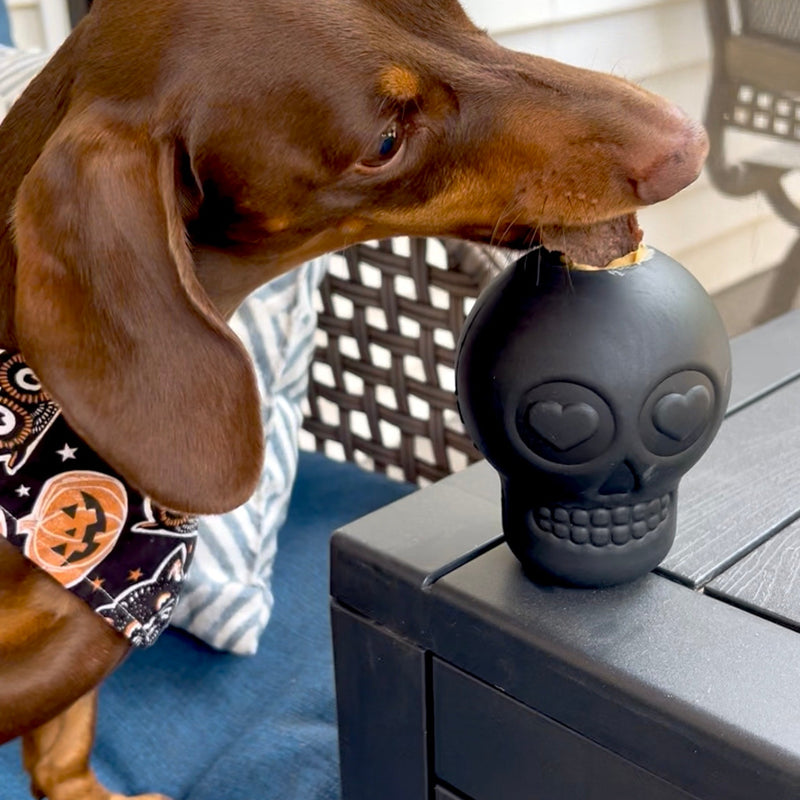 Farm To Pet Dog Treat Dispensers Treat Dispenser