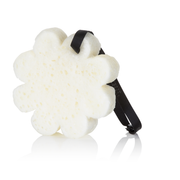 Spongellé French Lavender | Boxed Flower Body Wash Infused Buffer