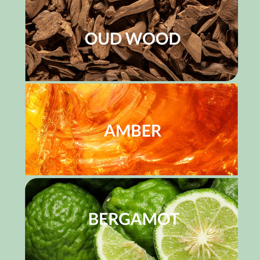 Aroma360 Stargazing Oil