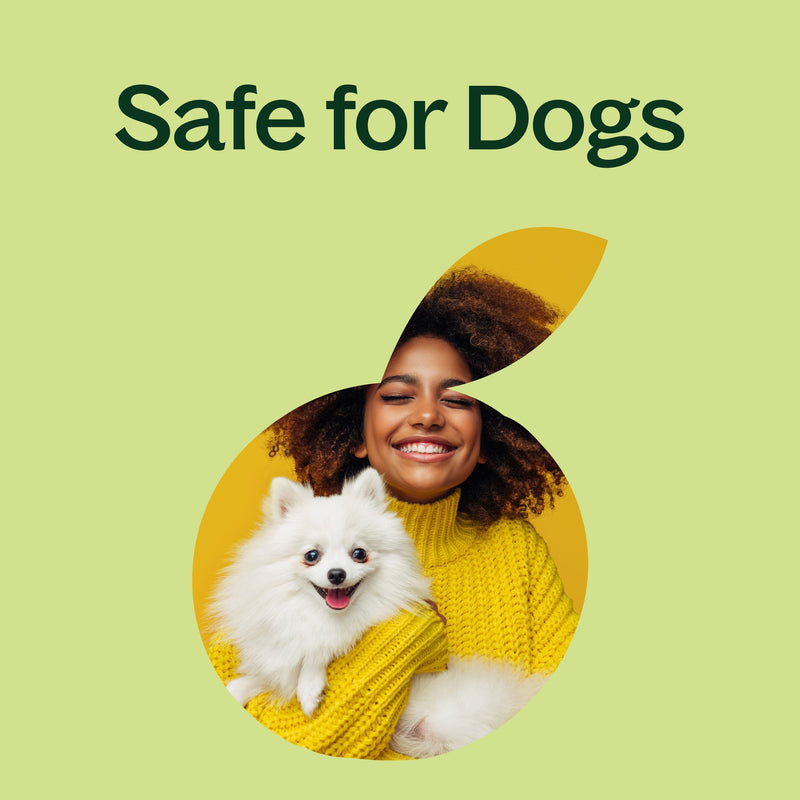 Plant Therapy Lemongrass Essential Oil Essential Oil