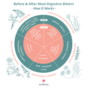 Wellena / Hormones Balance Liver & Digestive Bitters Kit Kit