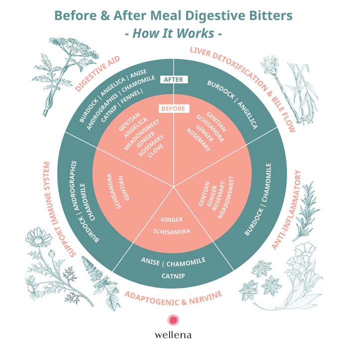 Liver & Digestive Bitters Kit