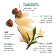 Jack Black Jack Black Exfolianting Scalp Scrub & Shampoo 5 Oz Scalp Scrub & Shampoo