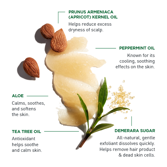 Jack Black Jack Black Exfolianting Scalp Scrub & Shampoo 5 Oz Scalp Scrub & Shampoo