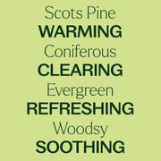Plant Therapy Scots Pine Essential Oil Essential Oil