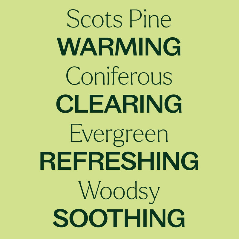 Plant Therapy Scots Pine Essential Oil Essential Oil